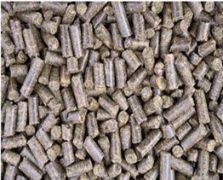 Mediante real decreto publicado en BOE