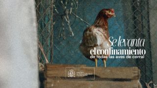 Tras la evaluación favorable del riesgo epidemiológico