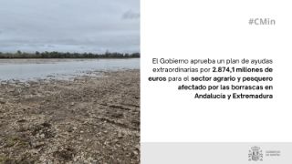 Hoy, en Consejo de Ministros