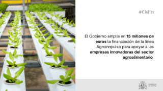 Hoy, en Consejo de Ministros