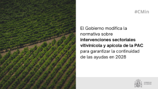 Hoy, en el Consejo de Ministros
