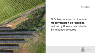 Hoy, en Consejo de Ministros