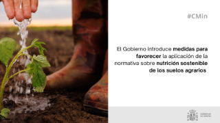 Hoy, en Consejo de Ministros