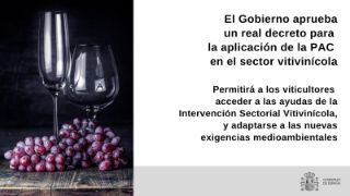 APROBADO HOY EN CONSEJO DE MINISTROS EL REAL DECRETO PARA LA APLICACIÓN DE LA PAC EN EL SECTOR VITITINÍCOLA