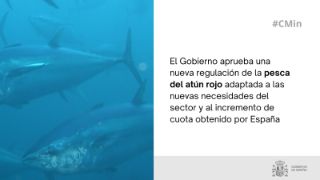 Hoy, en Consejo de Ministros