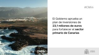 Hoy, en Consejo de Ministros