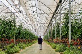 Perfil de usuario y de las operaciones de SAECA 2025