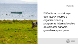 Hoy, en el Consejo de Ministros