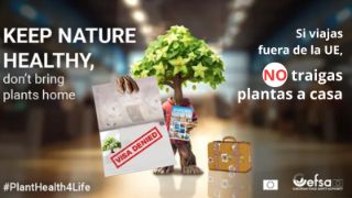 El programa #PlantHealth4Life cuenta con la participación de 22 Estados miembros de la Unión Europea (UE) 