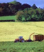 Resultados provisionales de la Red Contable Agraria Nacional 2021