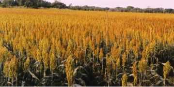 HOY, EN EL CONSEJO DE MINISTROS