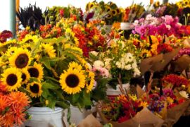 EL PROYECTO DE REAL DECRETO SE PODRÁ CONSULTAR EN LA WEB DEL MAPA