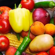 EN LA COMUNICACIÓN QUE LOS ESTADOS MIEMBROS TIENEN QUE REALIZAR A LA COMISIÓN CADA AÑO ANTES DEL 31 DE ENERO 