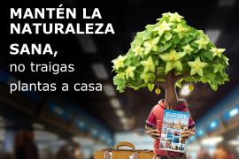 Cuarta edición de PlantHealth4Life