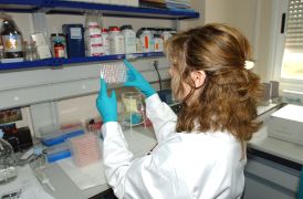 BOLETÍN OFICIAL DEL ESTADO 