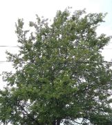 Consejo de Ministros 