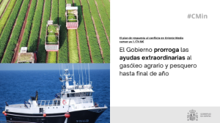 Hoy, en Consejo de Ministros 