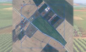 La siembra directa y las cubiertas vegetales, claves para la captación de carbono