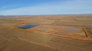 PROMOVIDAS POR EL MINISTERIO DE AGRICULTURA, PESCA Y ALIMENTACIÓN 