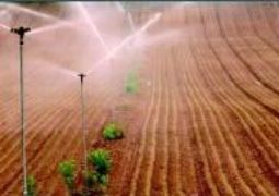 CONSEJO DE MINISTROS