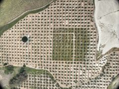 A través de la empresa pública Seiasa