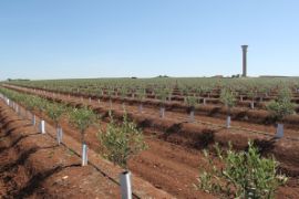 A través de dos proyectos con fondos del Plan de Recuperación