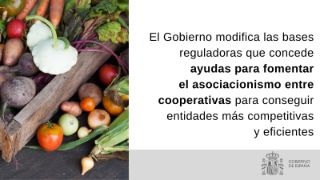 HOY, EN EL CONSEJO DE MINISTROS