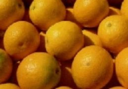 EN MADRID, EN LA SEDE DEL DEPARTAMENTO