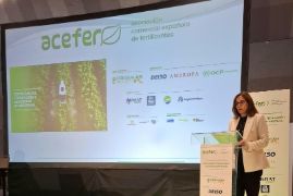 Hoy, en el VIII Congreso de ACEFER
