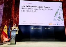 Hoy, en la jornada del COI para celebrar el Día Mundial del Olivo