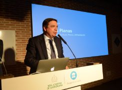 Hoy, en el Mercado Barceló 