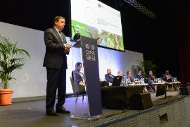 Hoy, en la Reunión de Alto Nivel sobre Bosques, en la COP25