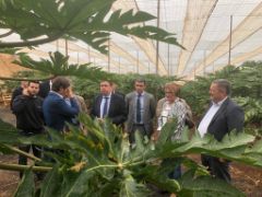 HOY, EN SU VISITA A GRAN CANARIA 