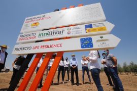 13072020 Ministro Luis Planas