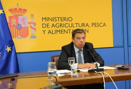 Hoy, por videoconferencia con la consejera de Agricultura, Ganadería y Pesca de Canarias
