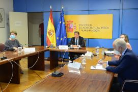 En una reunión mantenida por videoconferencia