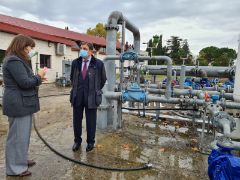 EN LA FINCA EL PALOMAR, EN SAN FERNANDO DE HENARES