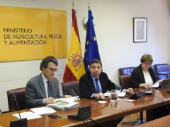 LOS MINISTROS DE AGRICULTURA DE AMBOS PAÍSES SE HAN REUNIDO HOY POR VIDEOCONFERENCIA