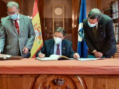 DÍA MUNDIAL DE LA ALIMENTACIÓN