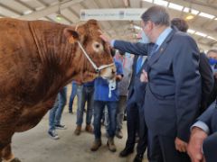 HOY, EN LA INAUGURACIÓN DE SALAMAQ 2021 