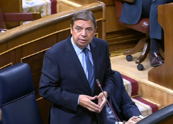 Hoy, en el Congreso de los Diputados  