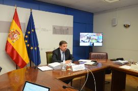 Consejo Consultivo para Asuntos Comunitarios de Política Agrícola 