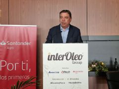 HOY, EN LA JORNADA NACIONAL “PRESENTE Y FUTURO DEL OLIVAR Y DEL ACEITE DE OLIVA”, CELEBRADA EN JAÉN 