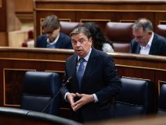 HOY, EN EL CONGRESO DE LOS DIPUTADOS  