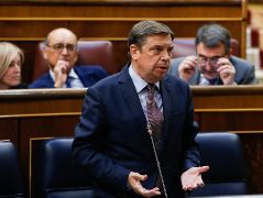 CONGRESO DE LOS DIPUTADOS