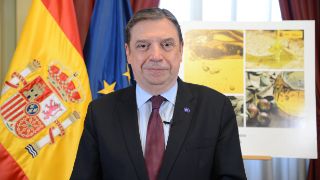 Publicada la primera estimación de la producción de aceite de oliva
