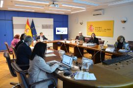 Hoy, en sesión celebrada por videoconferencia