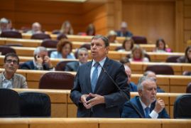 Hoy, en la sesión de control al Gobierno en el Senado