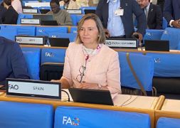 Hoy, en el Comité de Pesca de la FAO en Roma