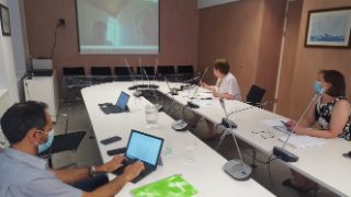 Mediante videoconferencia